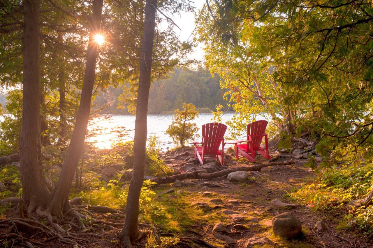 Condo 211 At North Creek Resort ブルー・マウンテンズ 部屋 写真